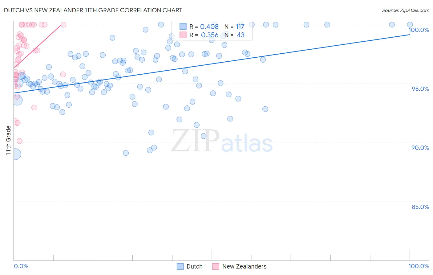 Dutch vs New Zealander 11th Grade