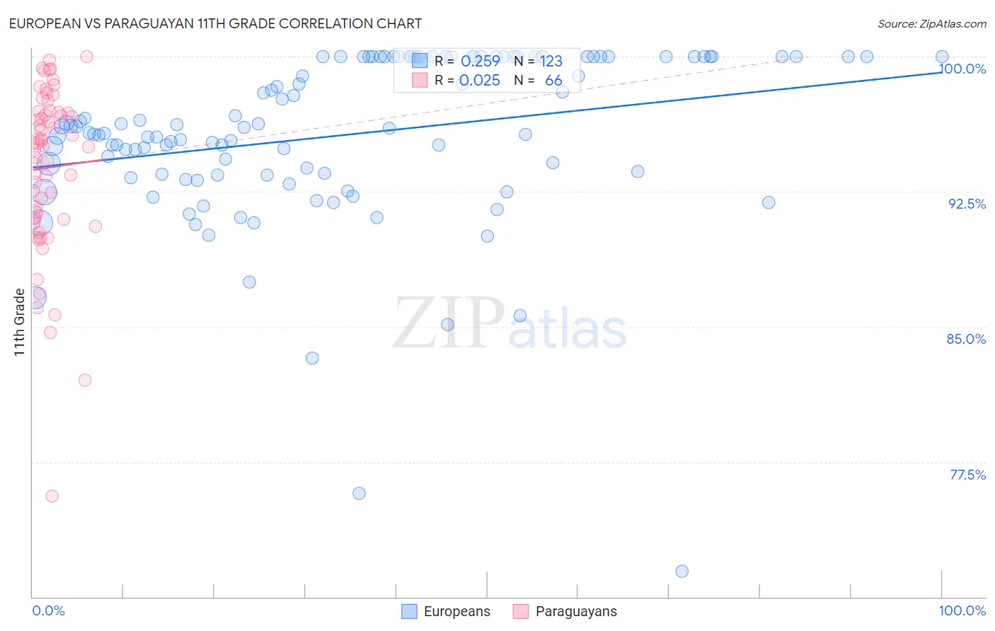 European vs Paraguayan 11th Grade