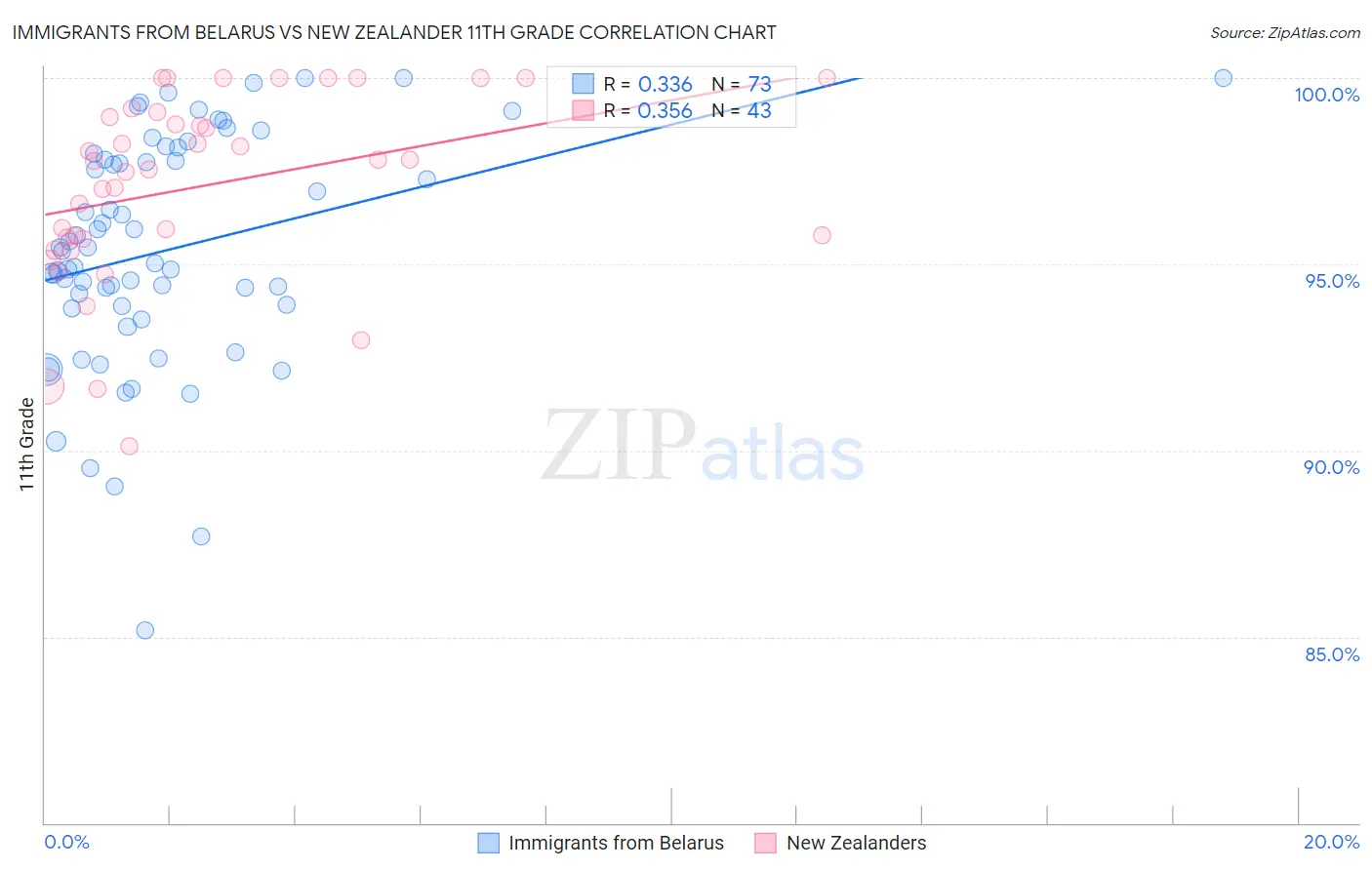 Immigrants from Belarus vs New Zealander 11th Grade