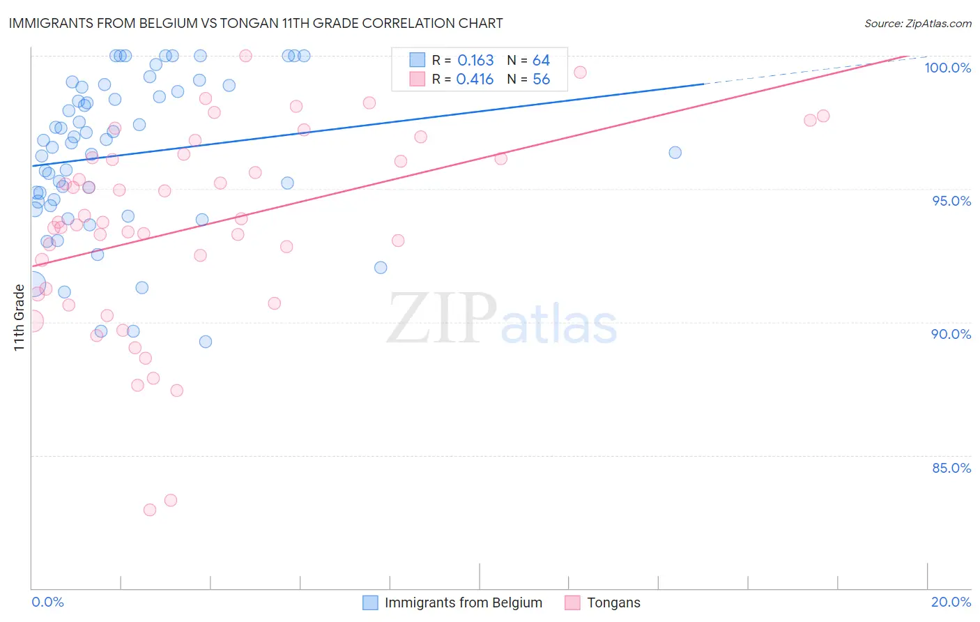 Immigrants from Belgium vs Tongan 11th Grade