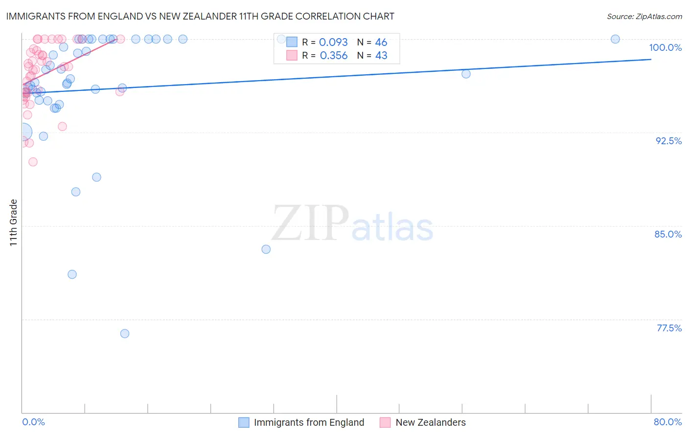 Immigrants from England vs New Zealander 11th Grade