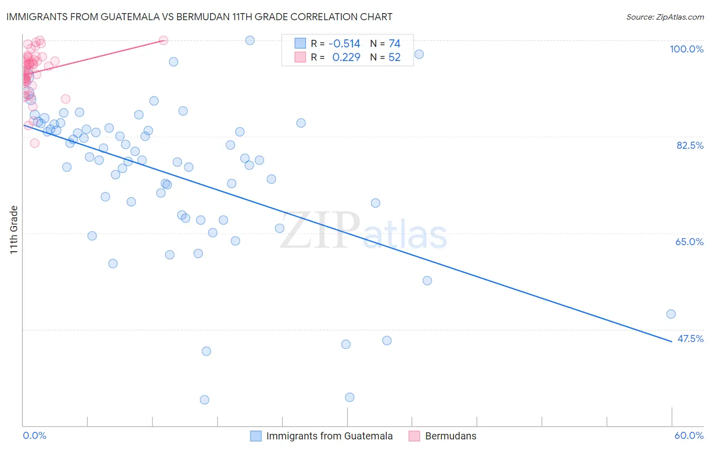 Immigrants from Guatemala vs Bermudan 11th Grade