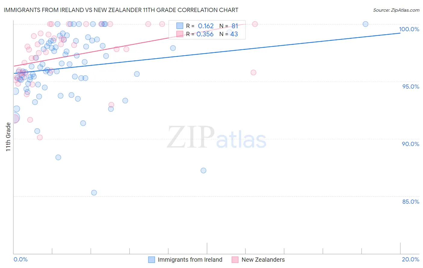 Immigrants from Ireland vs New Zealander 11th Grade