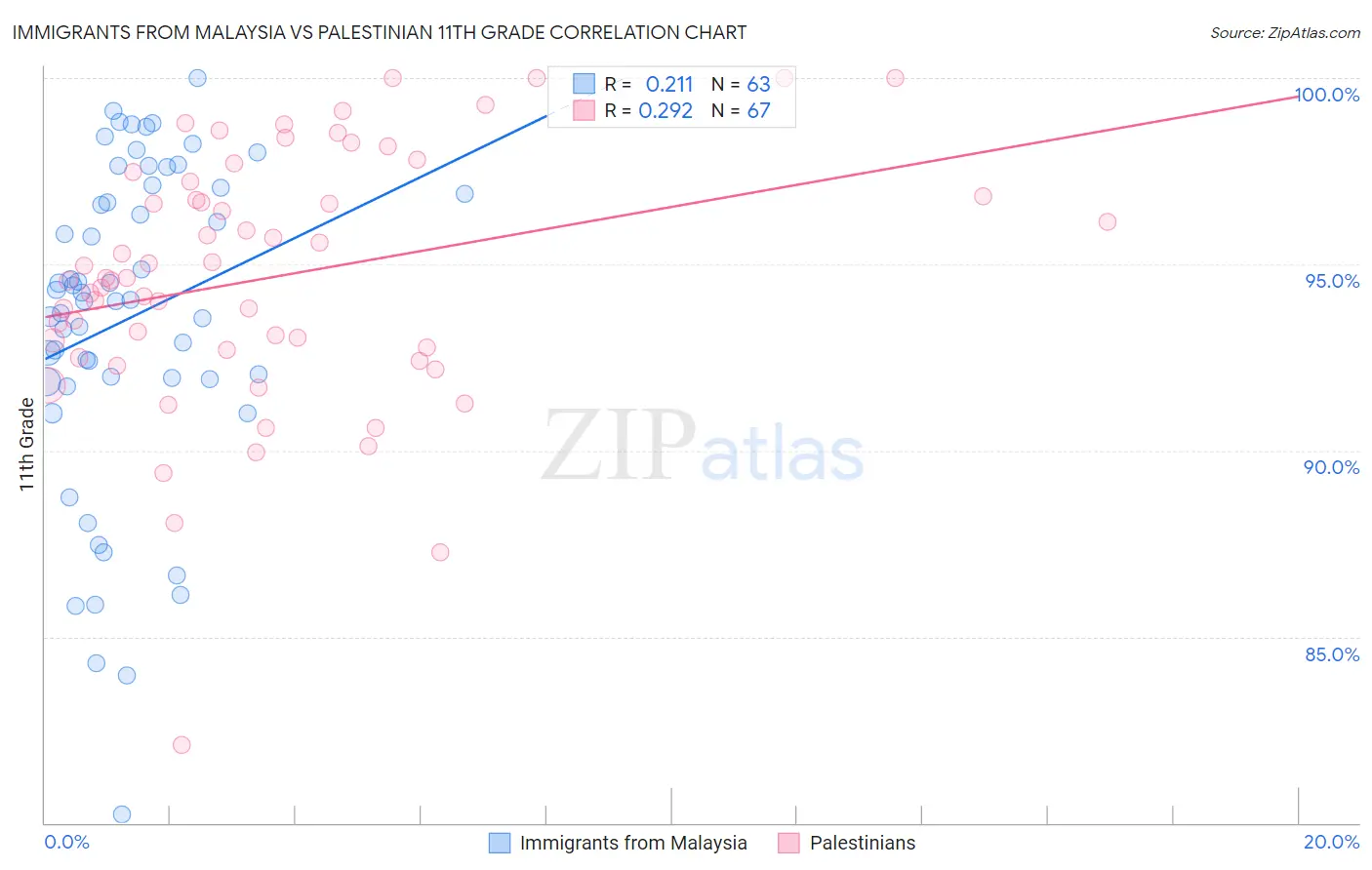 Immigrants from Malaysia vs Palestinian 11th Grade