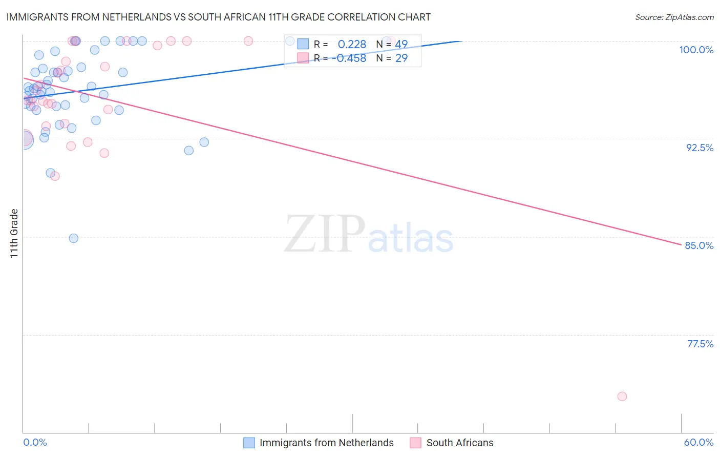 Immigrants from Netherlands vs South African 11th Grade