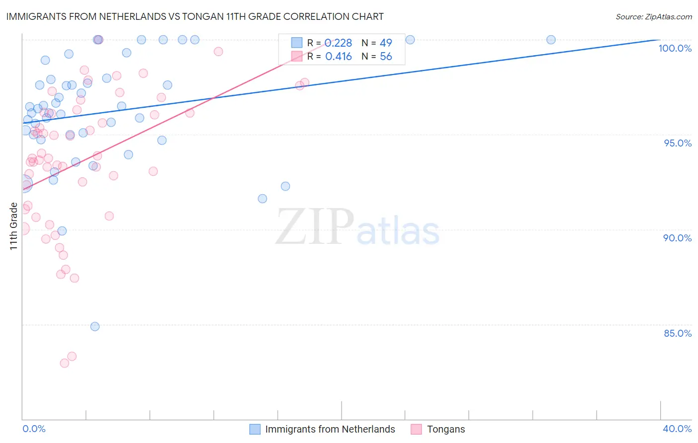 Immigrants from Netherlands vs Tongan 11th Grade