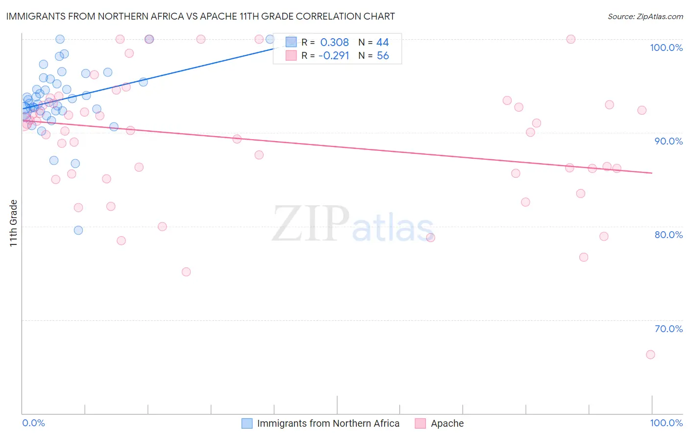 Immigrants from Northern Africa vs Apache 11th Grade