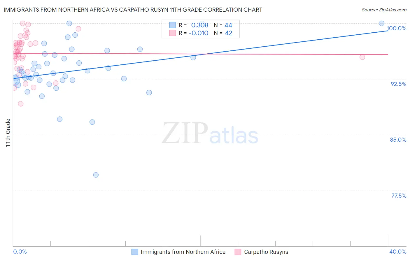 Immigrants from Northern Africa vs Carpatho Rusyn 11th Grade