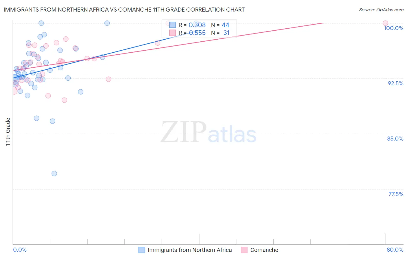 Immigrants from Northern Africa vs Comanche 11th Grade