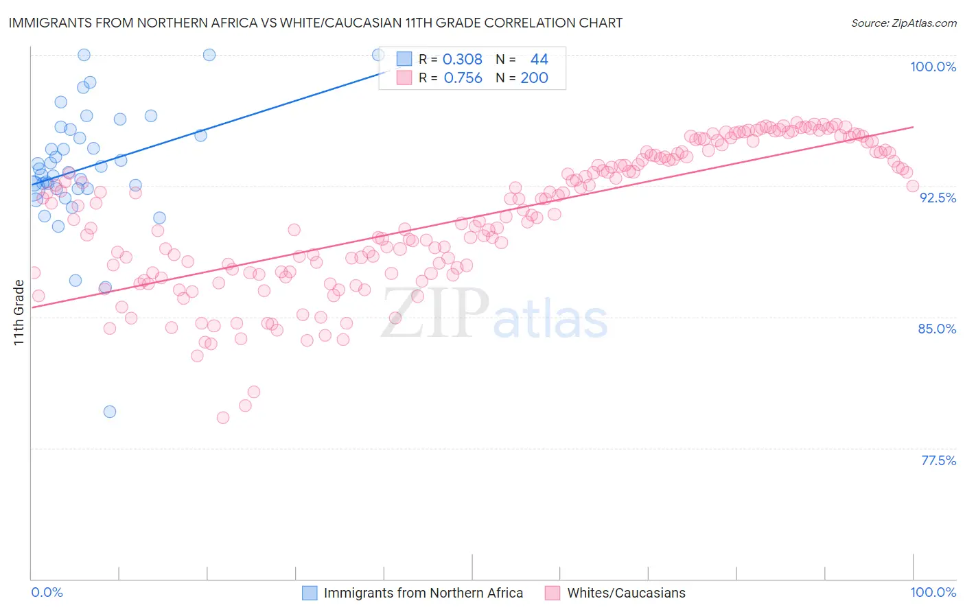 Immigrants from Northern Africa vs White/Caucasian 11th Grade