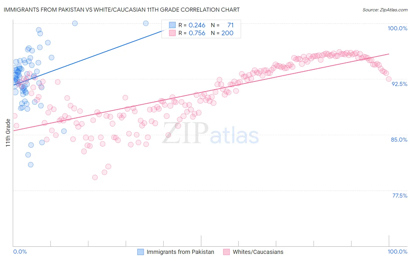 Immigrants from Pakistan vs White/Caucasian 11th Grade