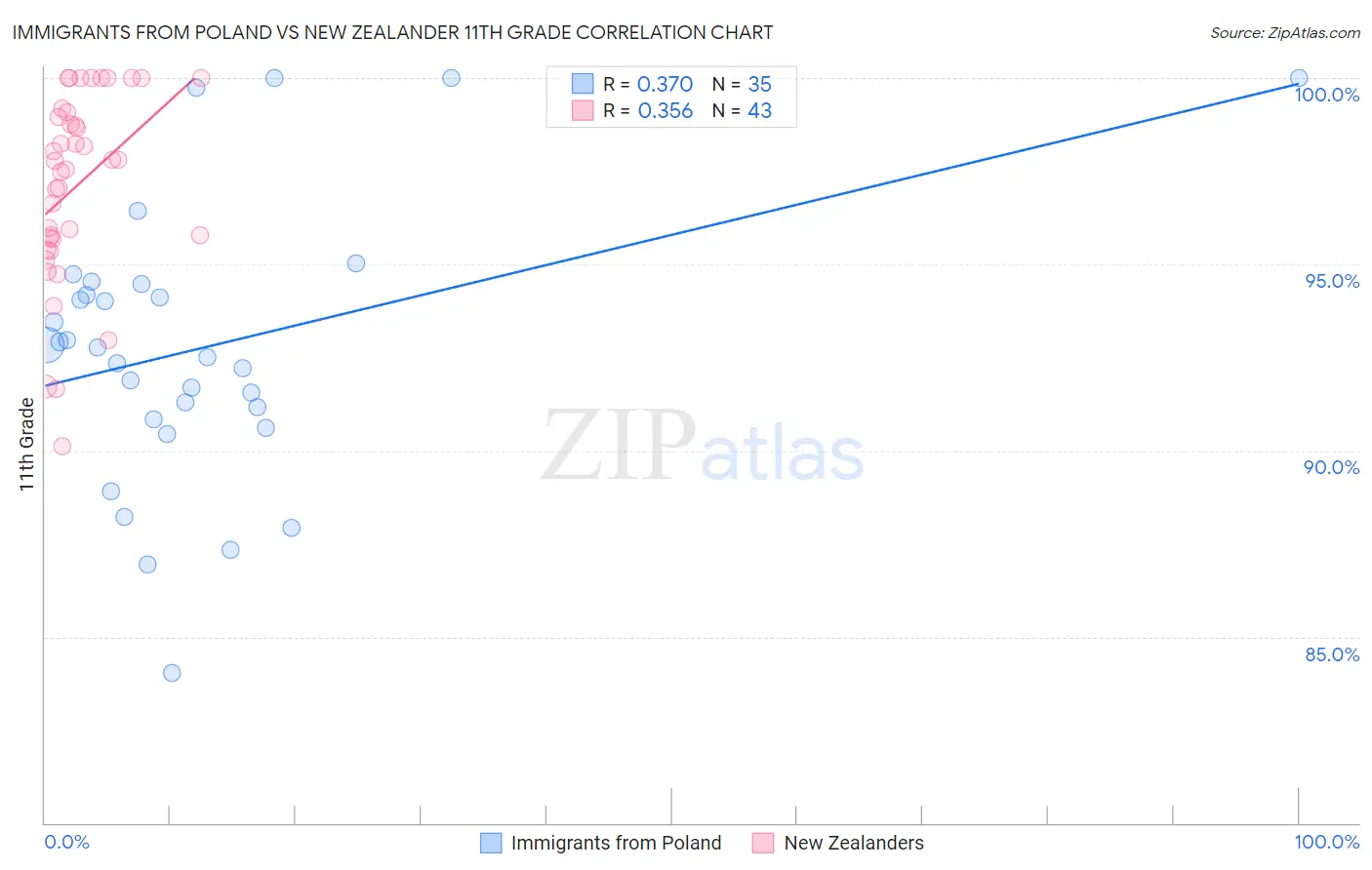 Immigrants from Poland vs New Zealander 11th Grade