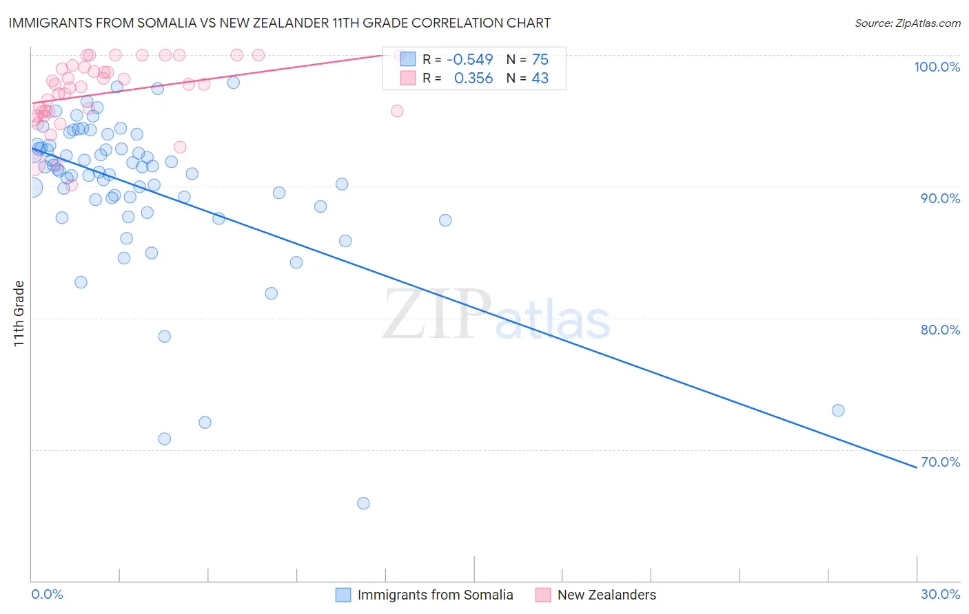 Immigrants from Somalia vs New Zealander 11th Grade
