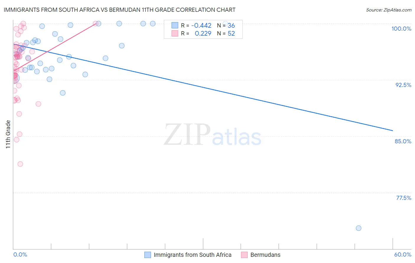 Immigrants from South Africa vs Bermudan 11th Grade