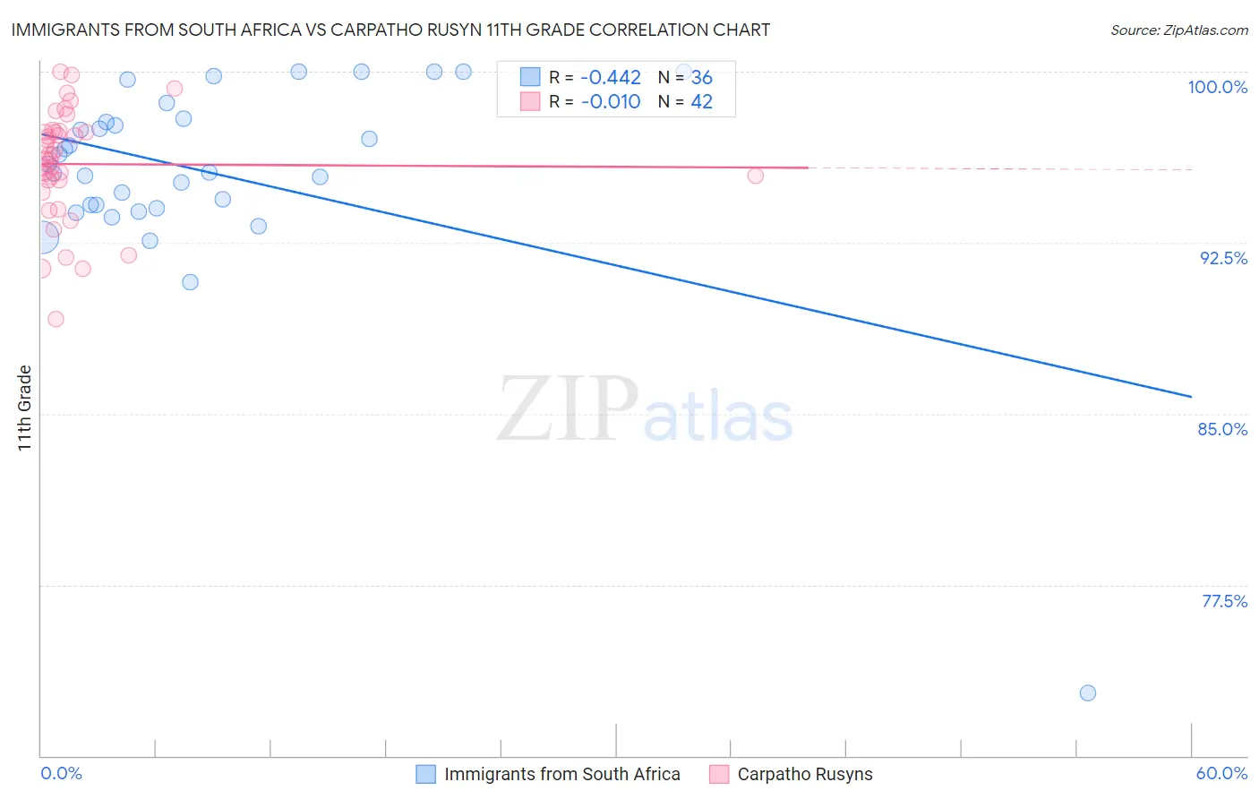 Immigrants from South Africa vs Carpatho Rusyn 11th Grade