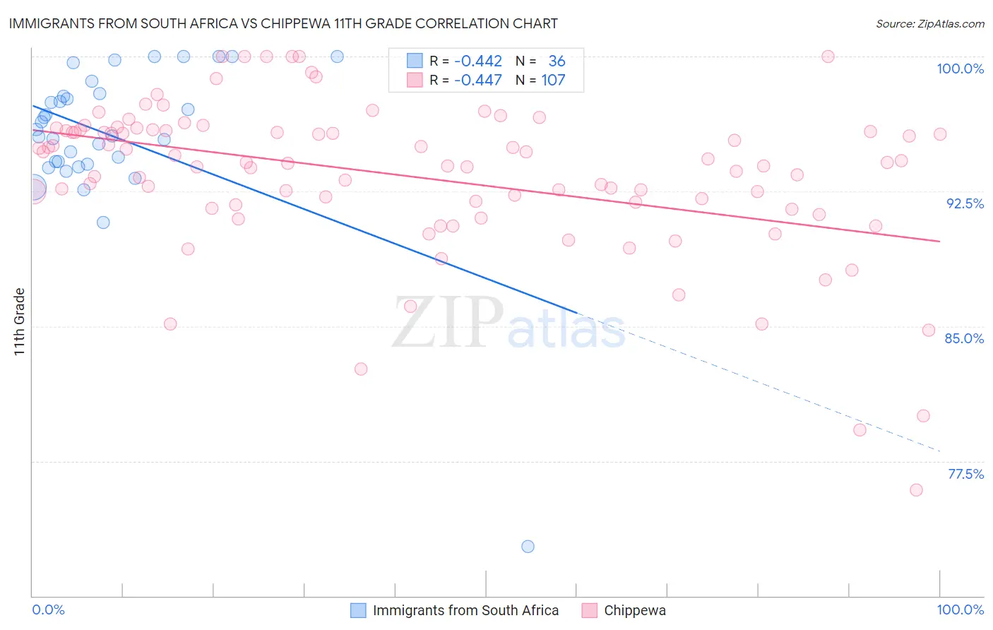 Immigrants from South Africa vs Chippewa 11th Grade