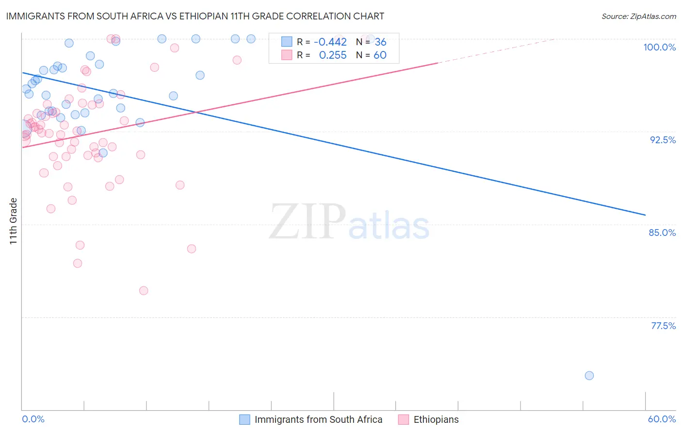 Immigrants from South Africa vs Ethiopian 11th Grade