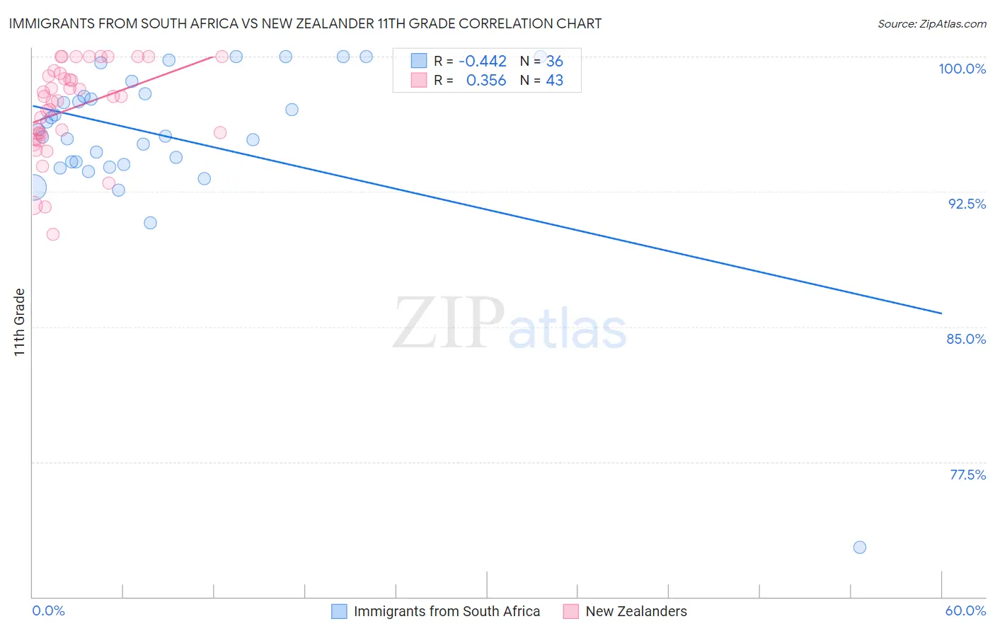 Immigrants from South Africa vs New Zealander 11th Grade
