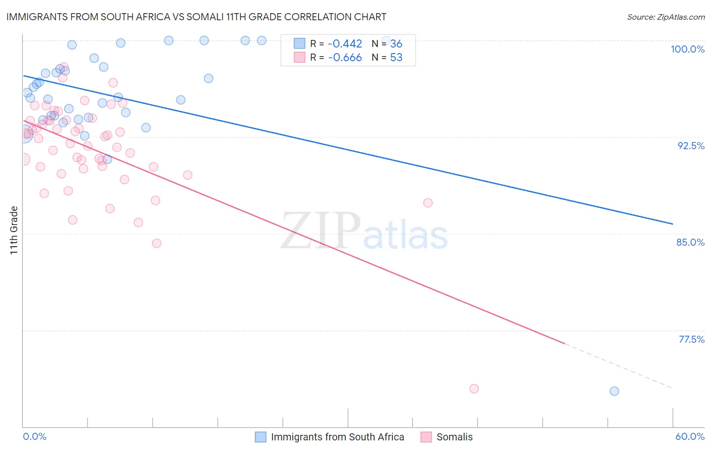 Immigrants from South Africa vs Somali 11th Grade