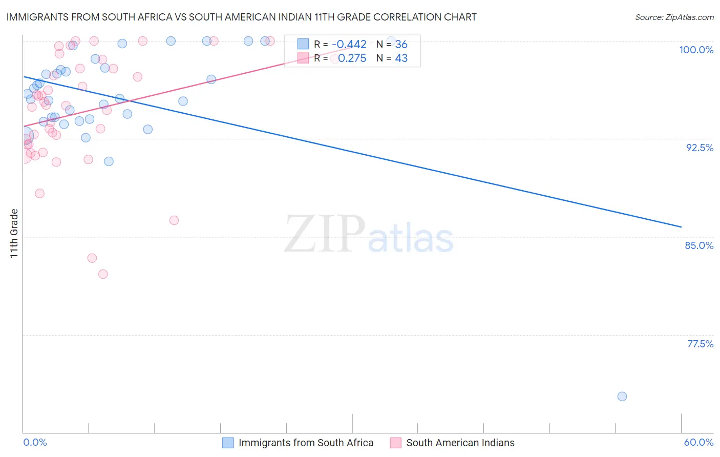 Immigrants from South Africa vs South American Indian 11th Grade