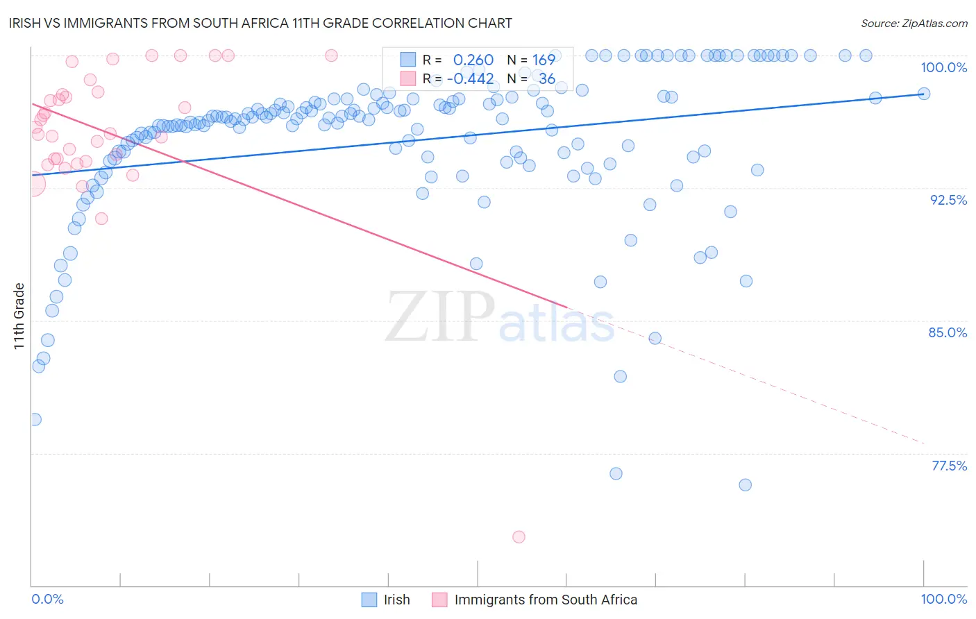 Irish vs Immigrants from South Africa 11th Grade