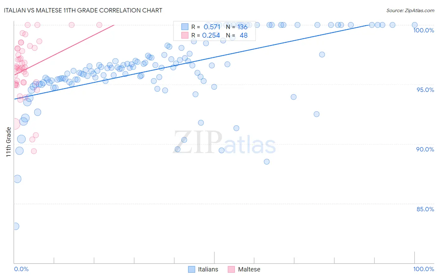 Italian vs Maltese 11th Grade