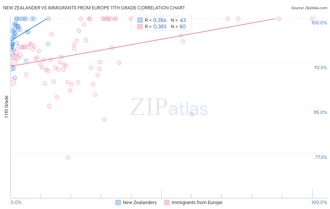 New Zealander vs Immigrants from Europe 11th Grade