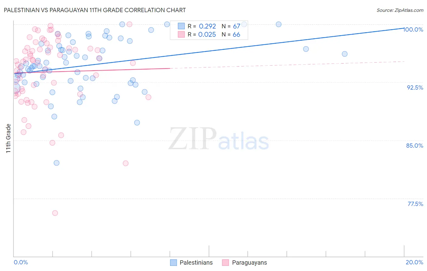 Palestinian vs Paraguayan 11th Grade