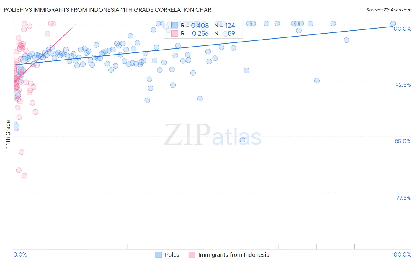 Polish vs Immigrants from Indonesia 11th Grade