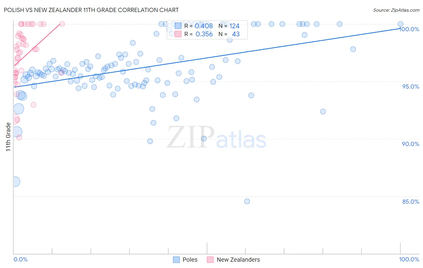 Polish vs New Zealander 11th Grade