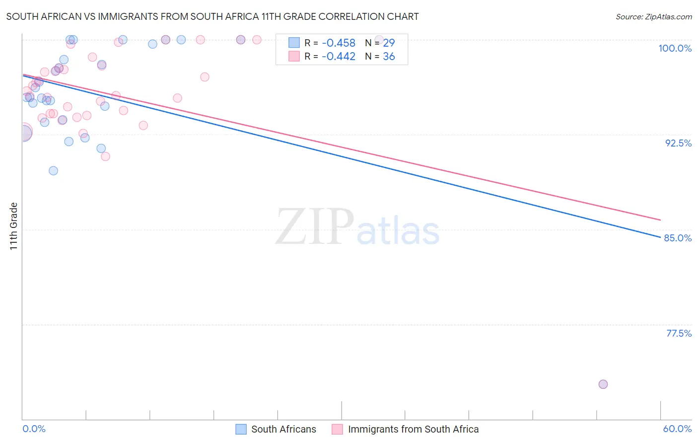 South African vs Immigrants from South Africa 11th Grade