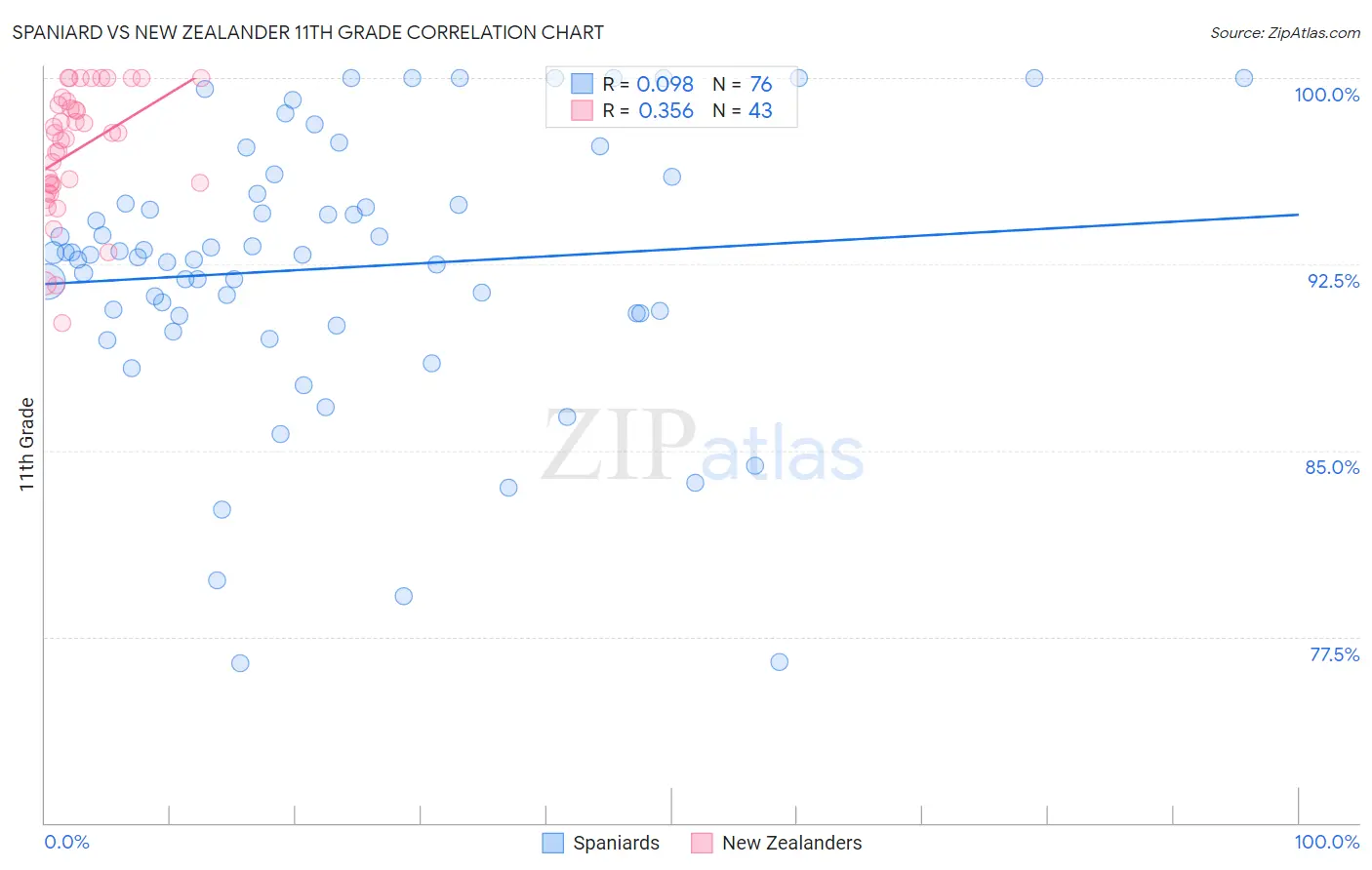 Spaniard vs New Zealander 11th Grade