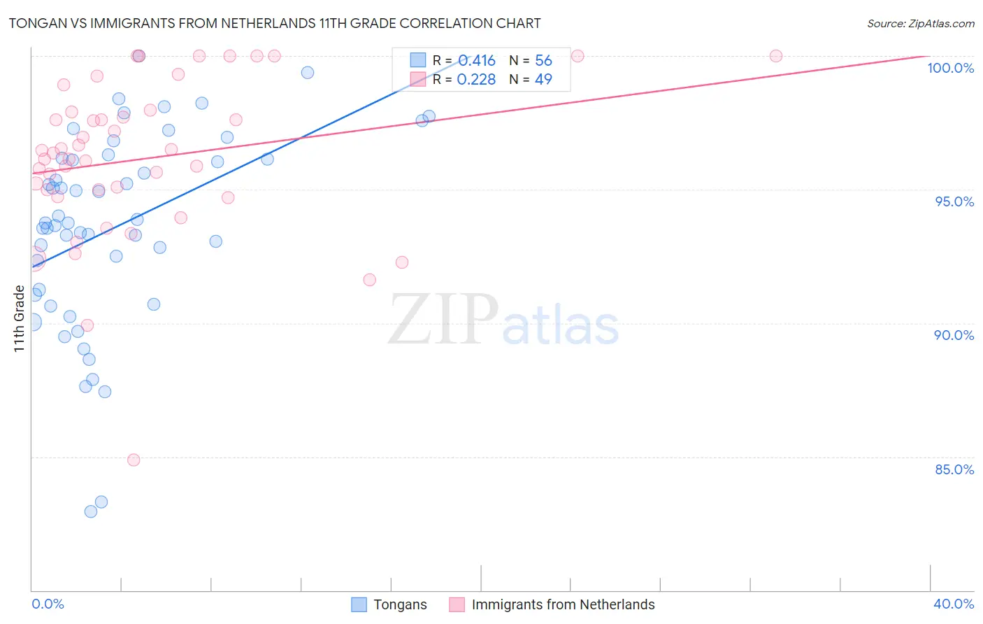 Tongan vs Immigrants from Netherlands 11th Grade