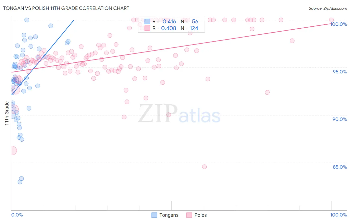 Tongan vs Polish 11th Grade