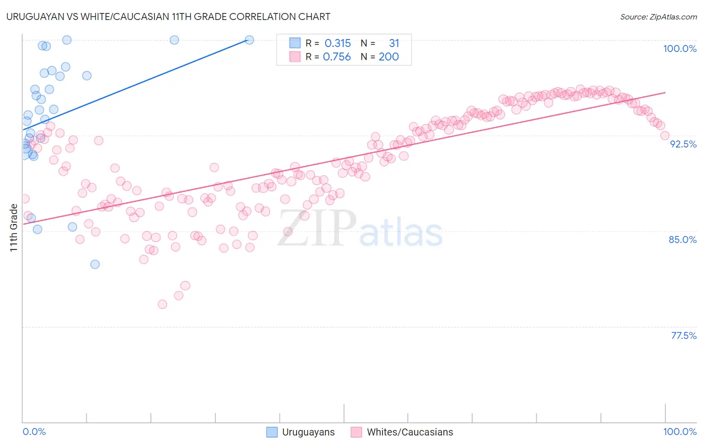 Uruguayan vs White/Caucasian 11th Grade