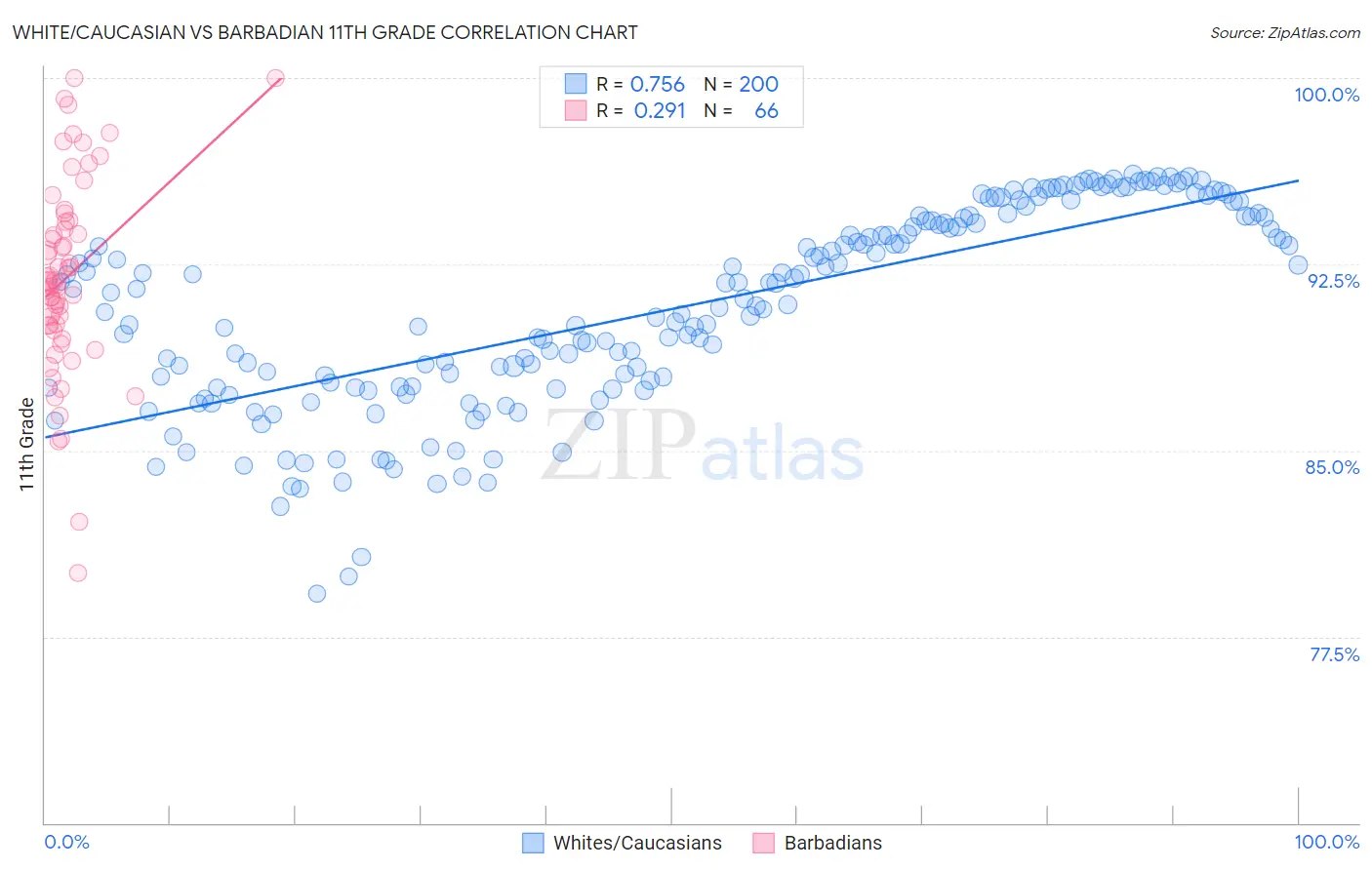White/Caucasian vs Barbadian 11th Grade