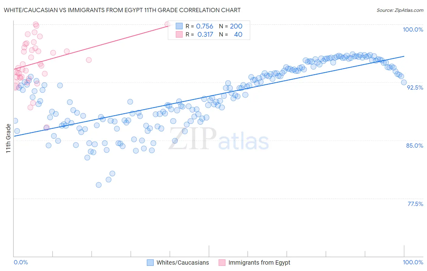 White/Caucasian vs Immigrants from Egypt 11th Grade