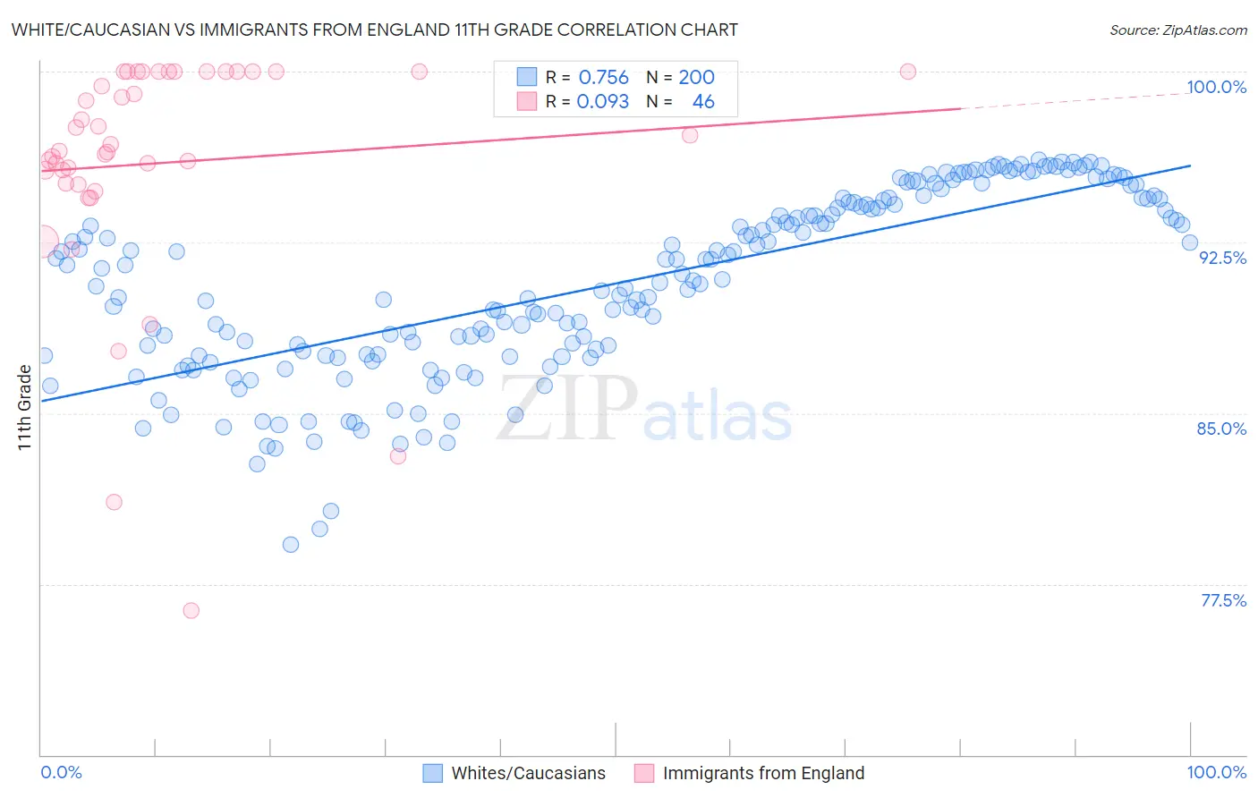 White/Caucasian vs Immigrants from England 11th Grade