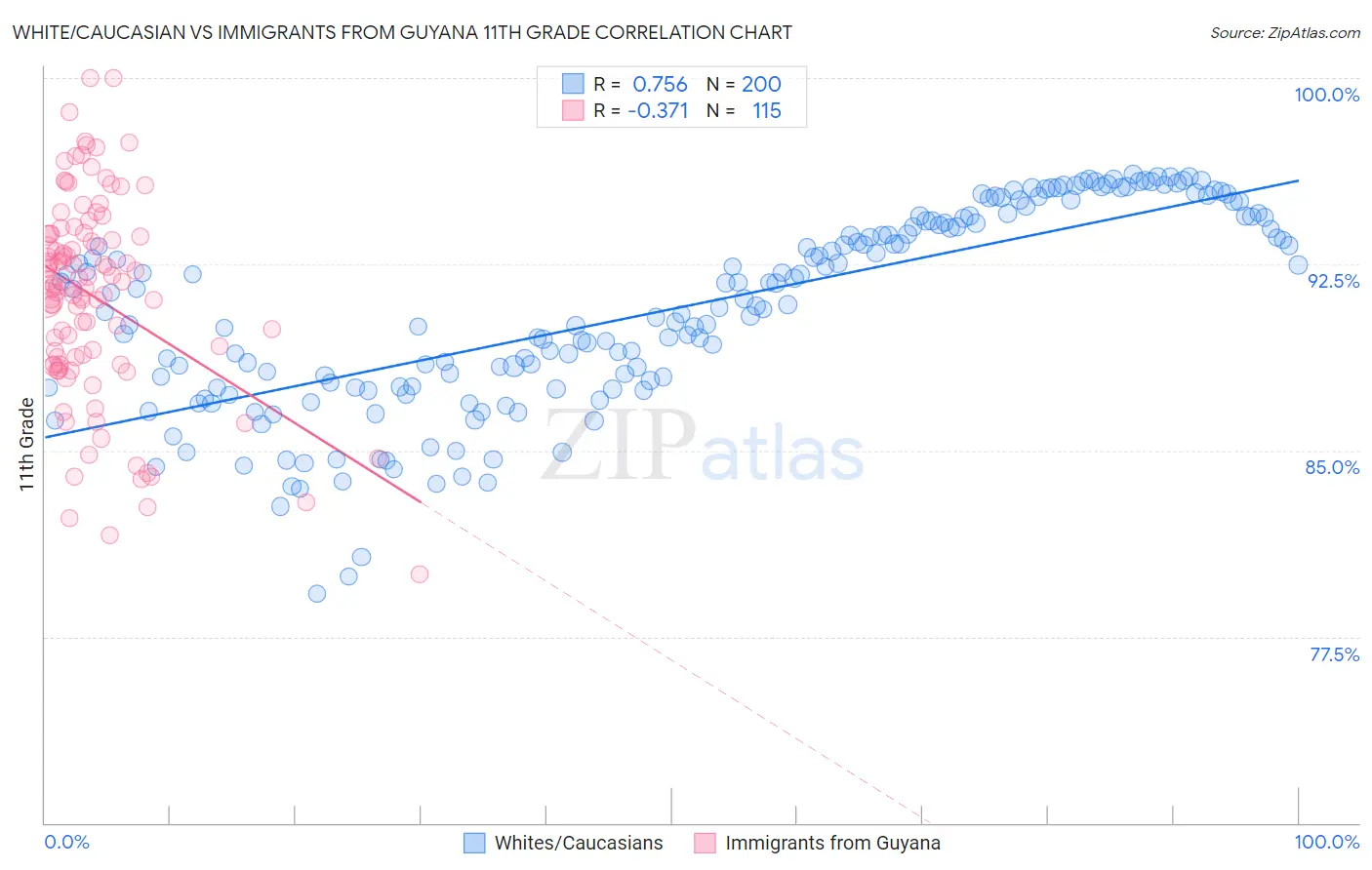 White/Caucasian vs Immigrants from Guyana 11th Grade