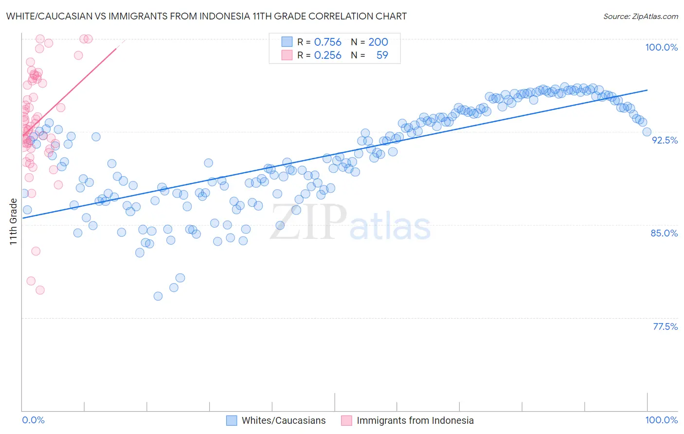 White/Caucasian vs Immigrants from Indonesia 11th Grade