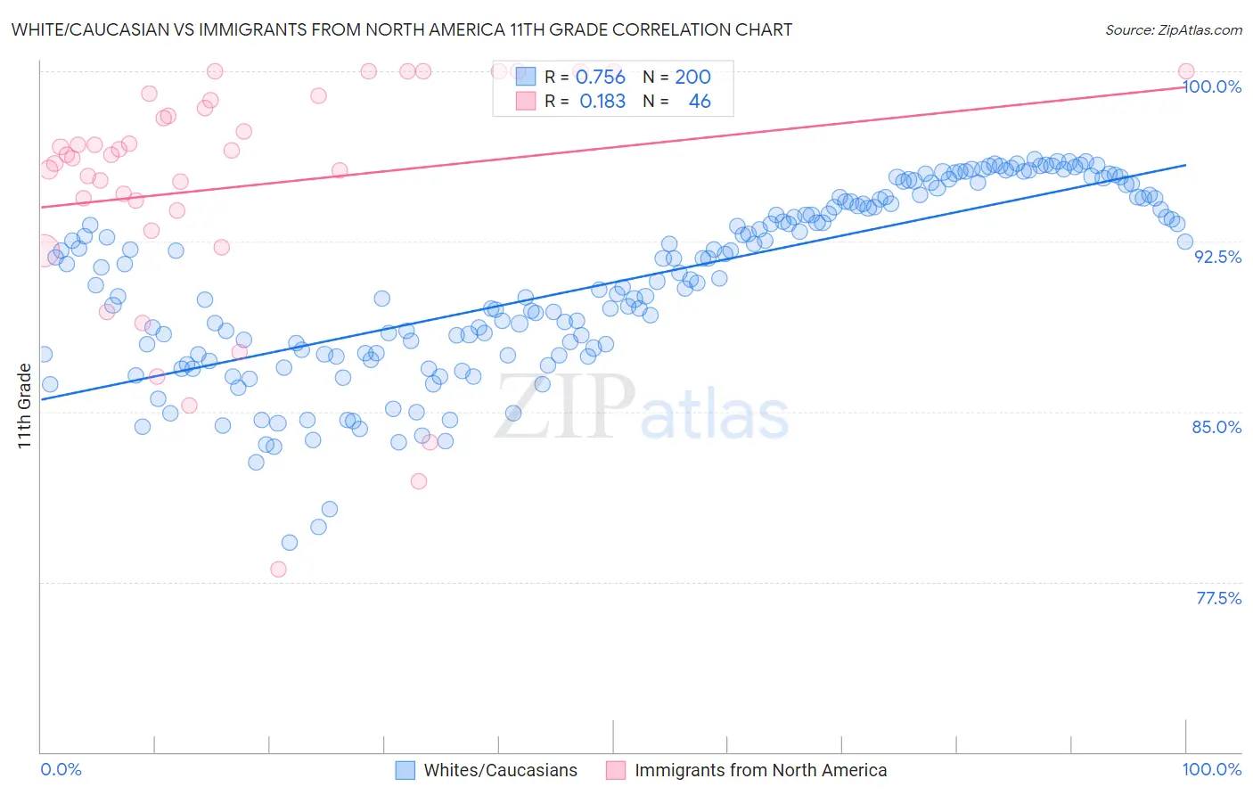 White/Caucasian vs Immigrants from North America 11th Grade