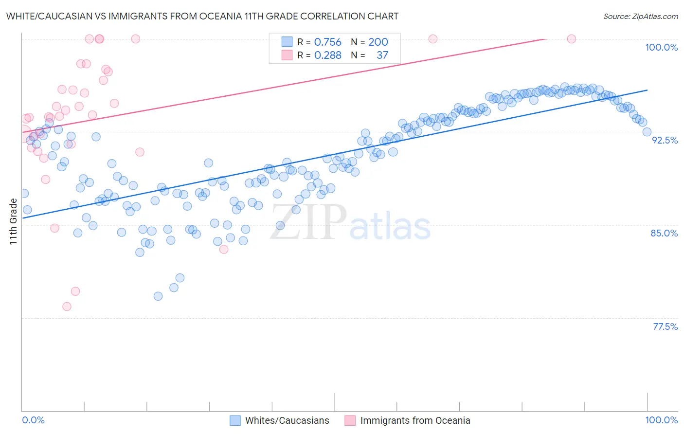 White/Caucasian vs Immigrants from Oceania 11th Grade