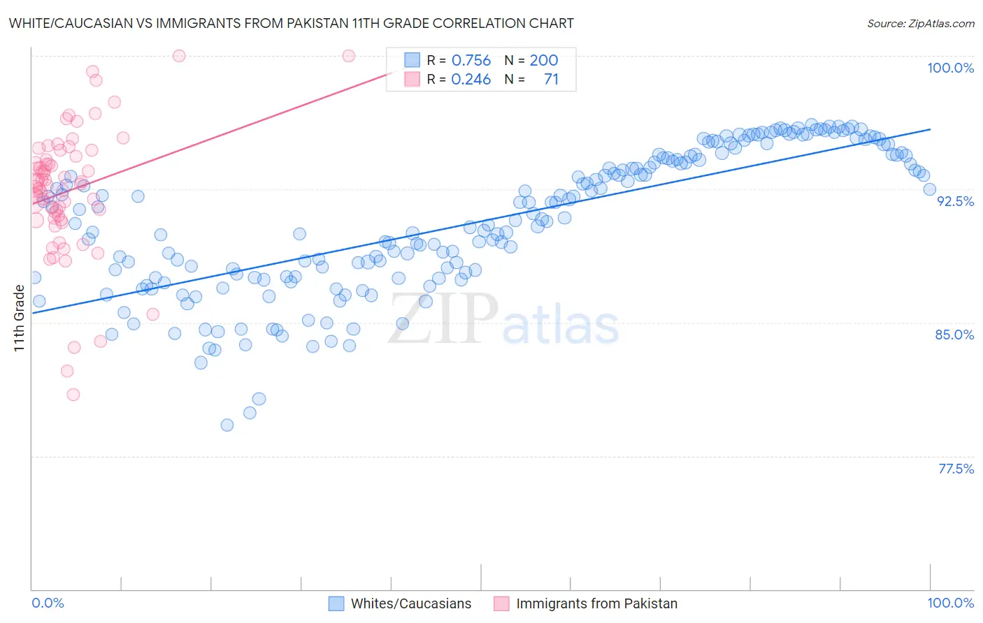 White/Caucasian vs Immigrants from Pakistan 11th Grade