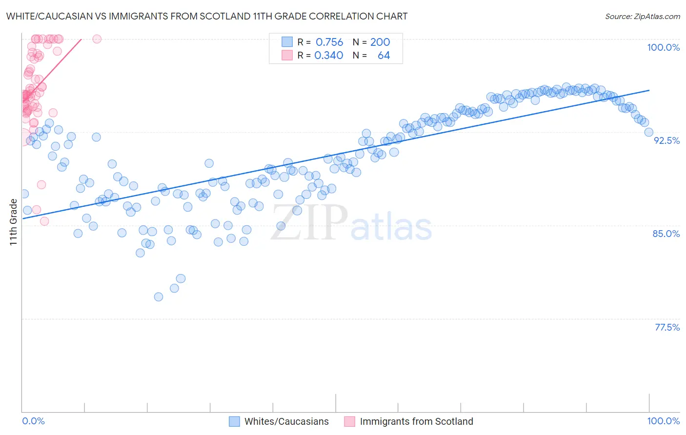 White/Caucasian vs Immigrants from Scotland 11th Grade