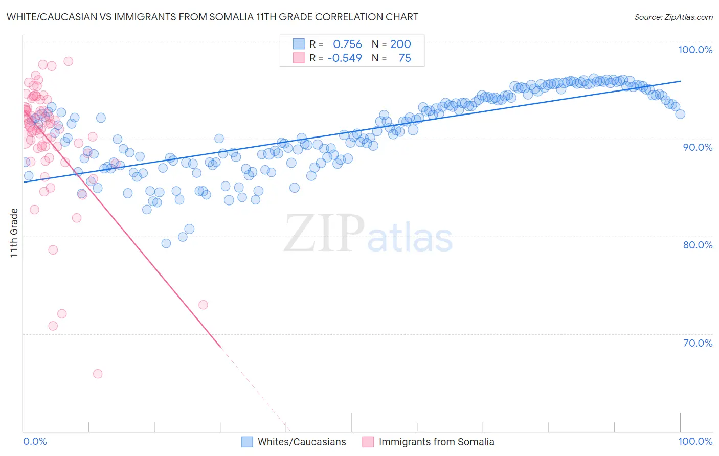 White/Caucasian vs Immigrants from Somalia 11th Grade