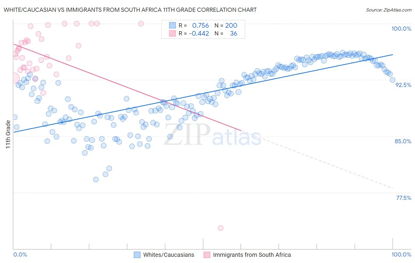 White/Caucasian vs Immigrants from South Africa 11th Grade