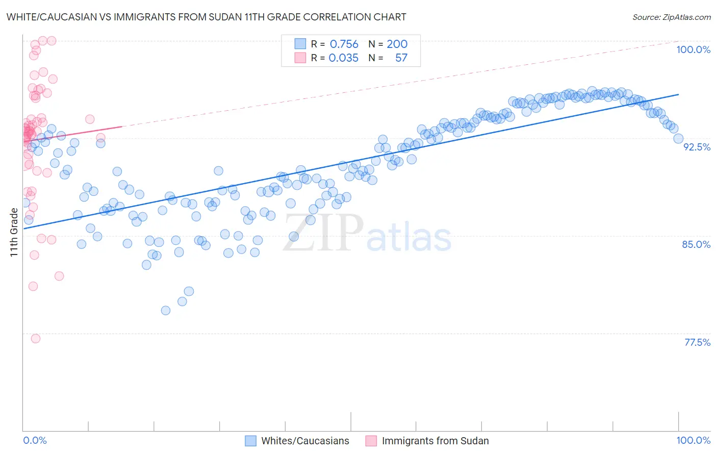 White/Caucasian vs Immigrants from Sudan 11th Grade