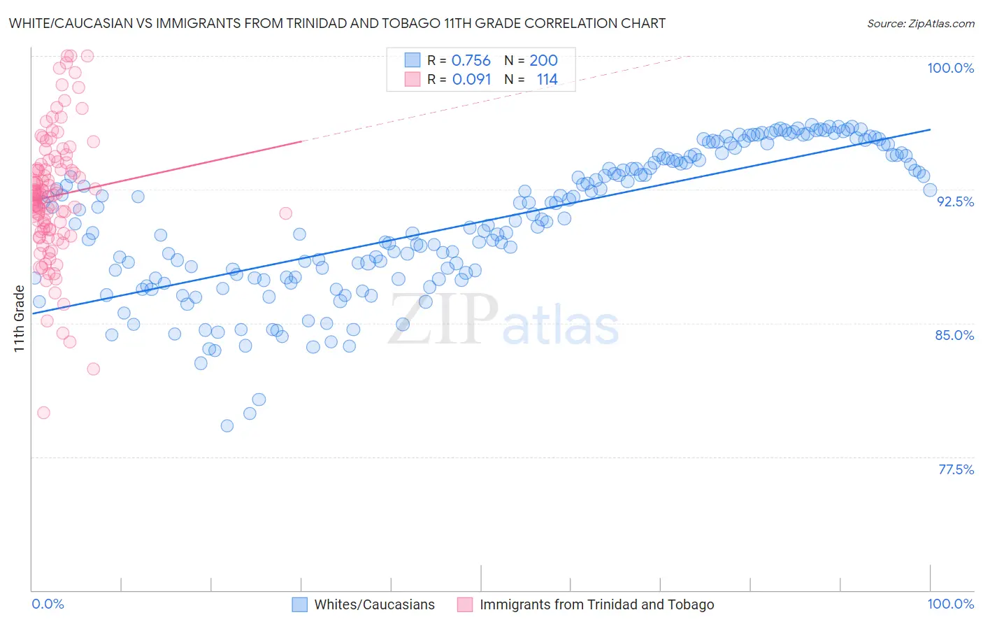 White/Caucasian vs Immigrants from Trinidad and Tobago 11th Grade