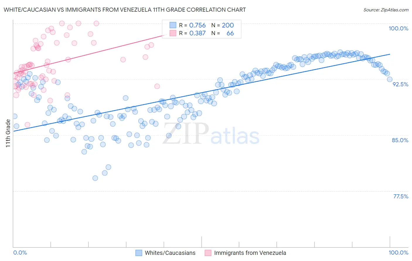 White/Caucasian vs Immigrants from Venezuela 11th Grade