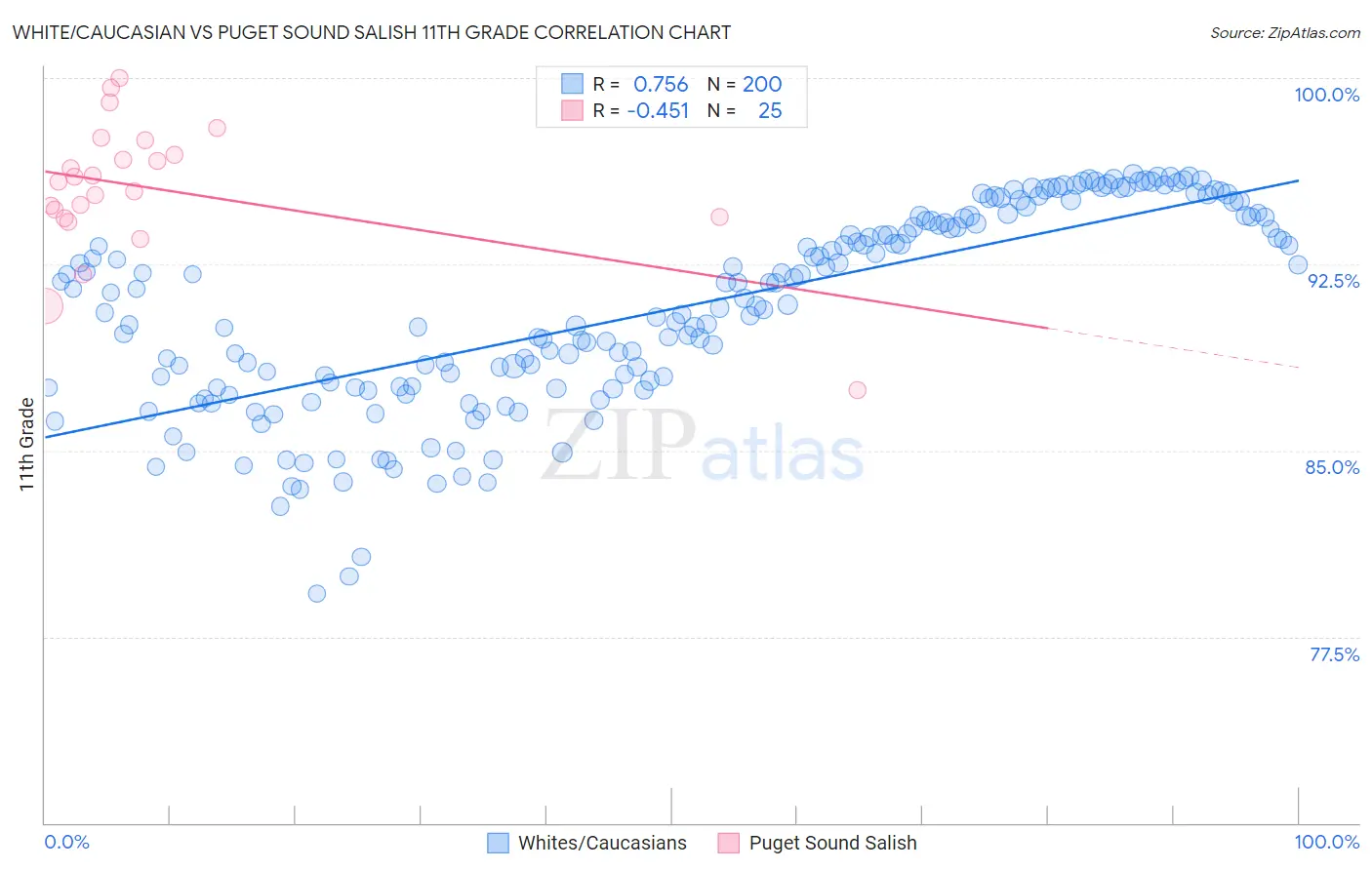 White/Caucasian vs Puget Sound Salish 11th Grade